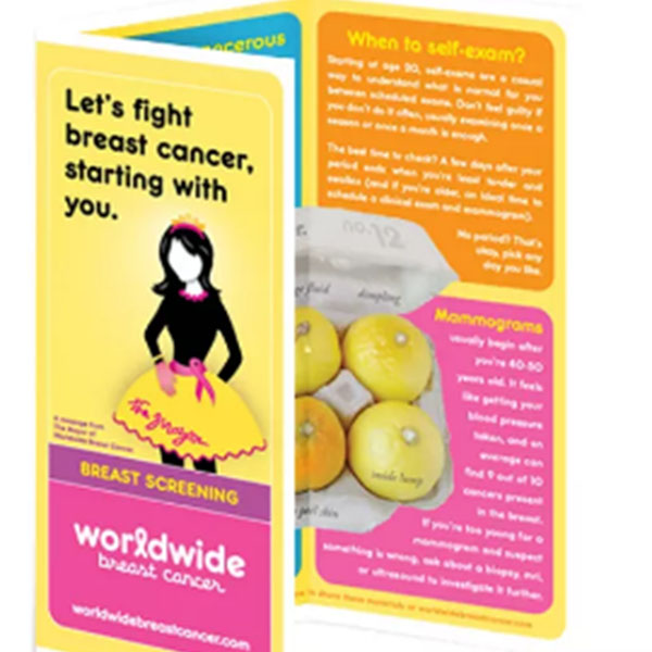 brochure              